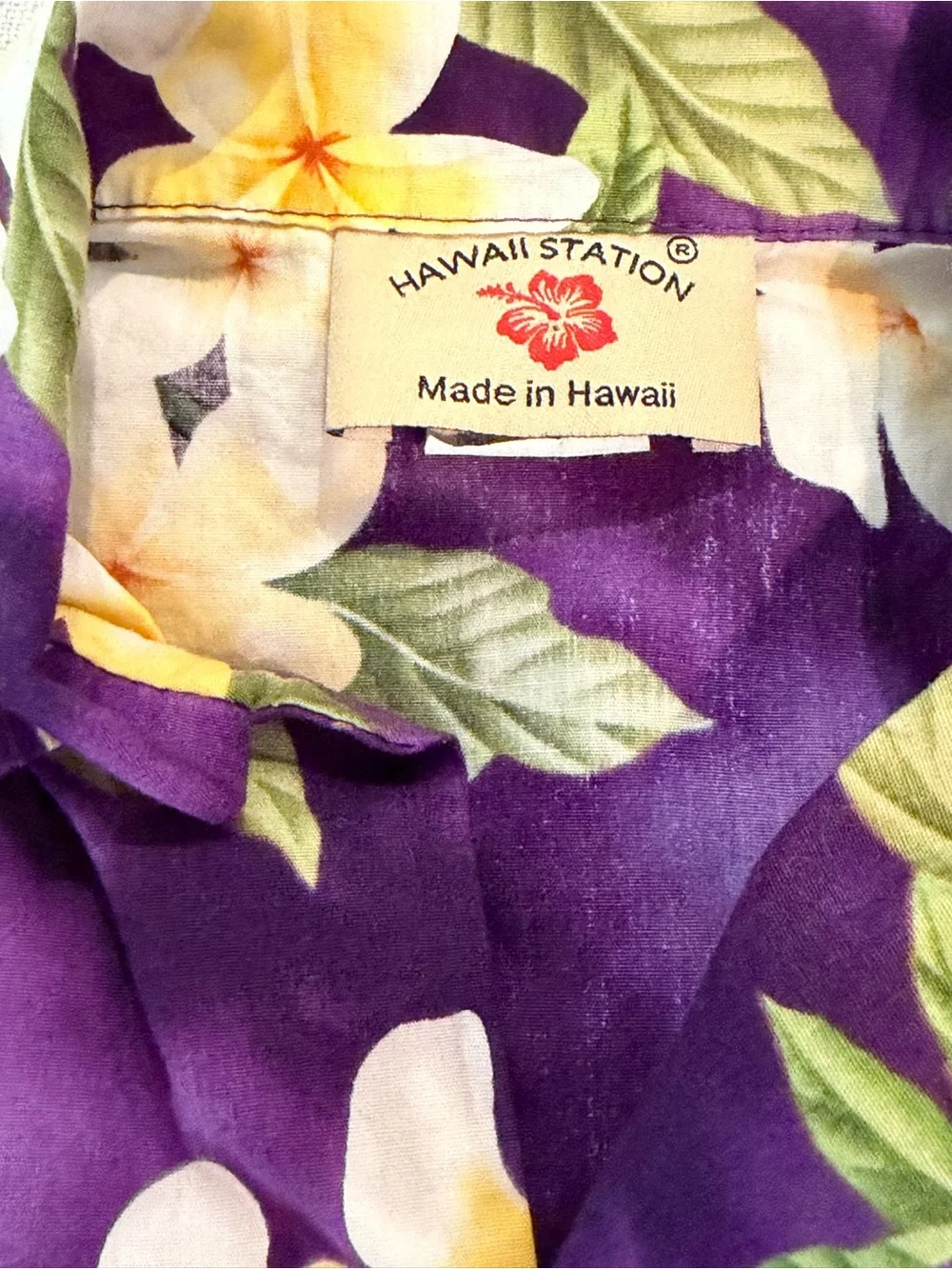 Hawaii Station Purple Plumeria Hawaiian Shirt Shorts Set 5-6